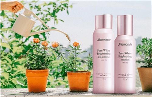 夢妝護膚品評測 韓系護膚的魅力與選擇指南