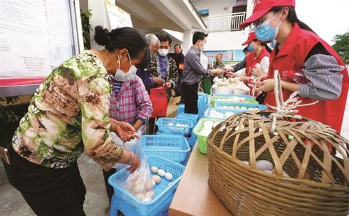 黨員上門認購 綦江農副產品滯銷的暖心解法