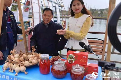 智囊論道公園社區，雙流黃水鎮打造宜業宜居新典范