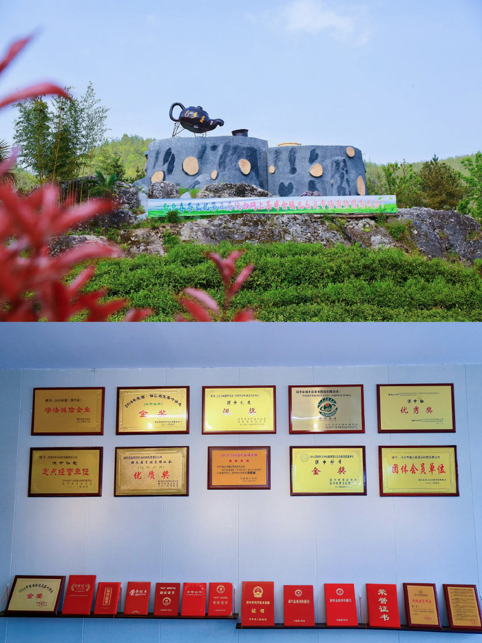 鎮巴鹽場鎮 傳承與創新的交融，探索茶葉發展多元之路