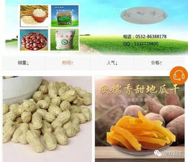 歲末年初砥礪前行 田莊鎮(zhèn)電商發(fā)展助力農(nóng)副產(chǎn)品銷售