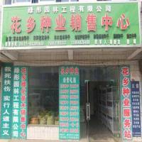 做好苗木批發(fā)，源頭與供應(yīng)鏈管理是關(guān)鍵