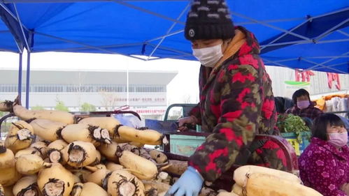 滯銷農(nóng)副產(chǎn)品直銷進(jìn)城 新鮮便宜還放心，市民農(nóng)戶雙贏新探索